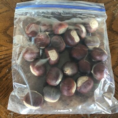 chestnuts