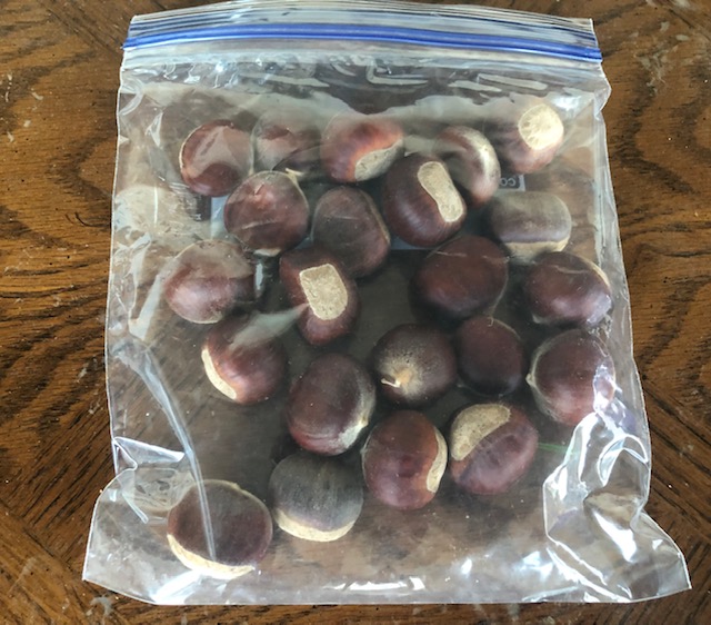chestnuts
