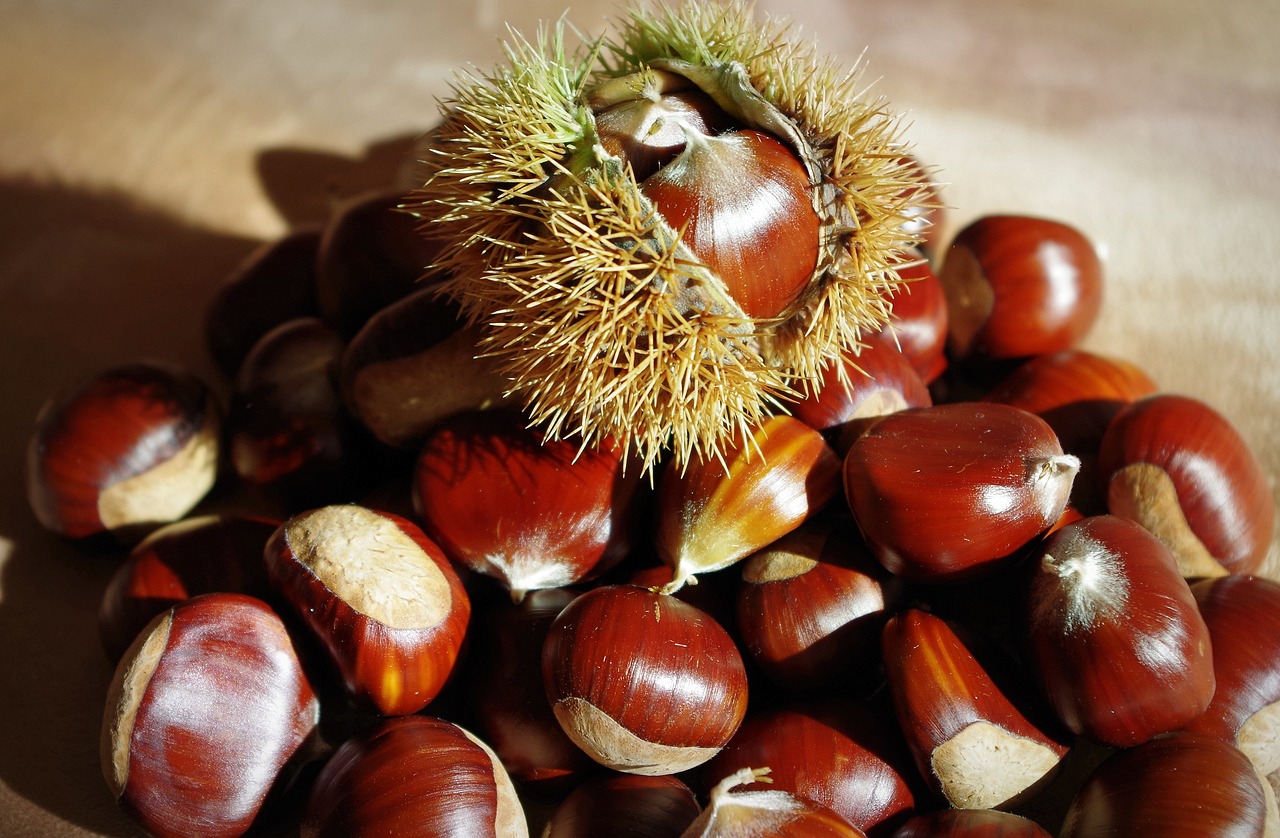 sweet-chestnuts