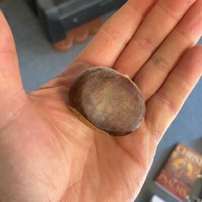 revival chestnut