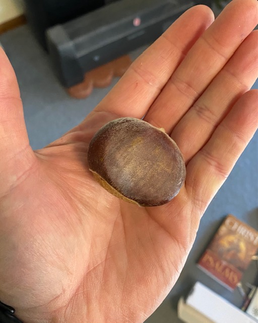 revival chestnut